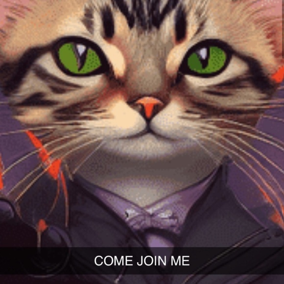 LIKE TO BE NOTIFIED FOR LIVE SHOWS AND GIVEAWAYS!!!!! 💕😻 - Picture 3 of 4